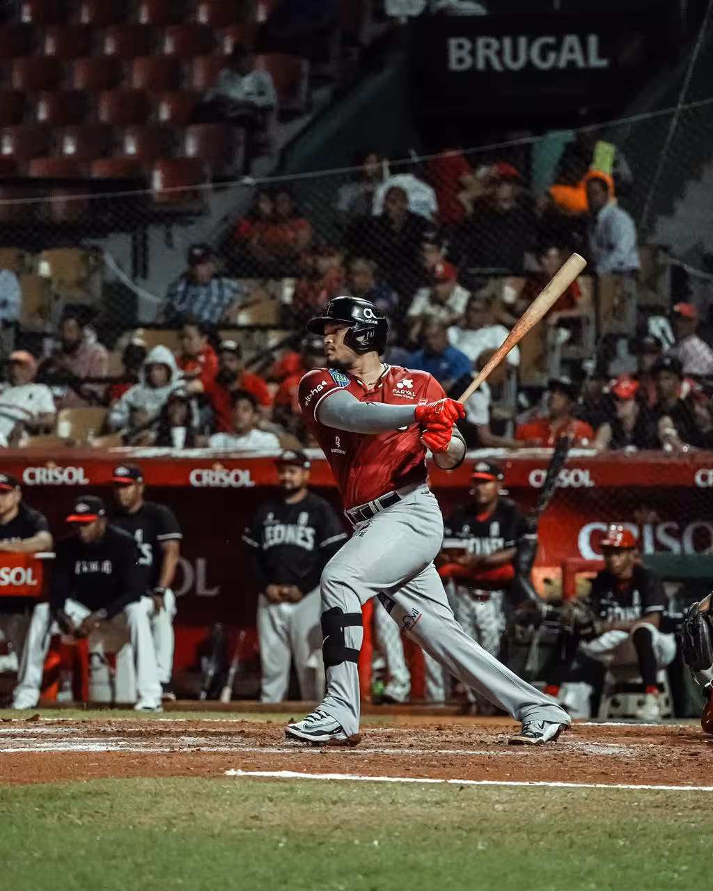Leones y Gigantes dividen VICTORIAS en intensa doble jornada en el Quisqueya