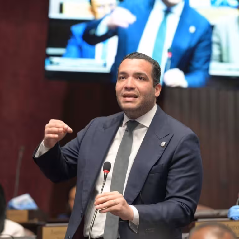 Diputado Charlie Mariotti llama a CARIFORUM y la Unión Europea a facilitar acceso de MIPYMES al mercado europeo