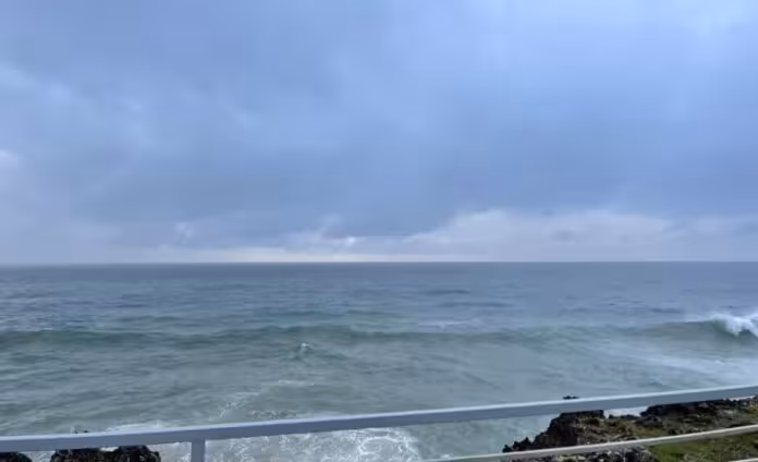 WhatsApp-Image-2026-01-16-at-9.15.38-AM-1140x694