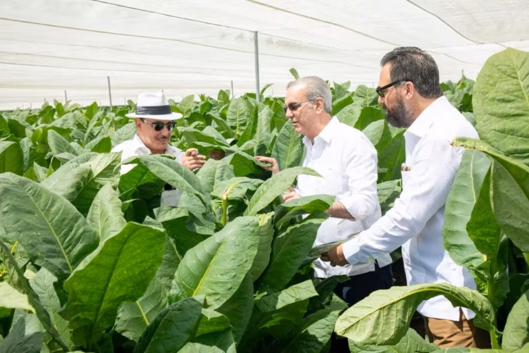 Presidente Abinader visita finca tabacalera “La Milagrosa” de Arturo Fuente en Monte Plata para replicar su moderna y avanzada tecnología en otras partes del país en la producción de capa