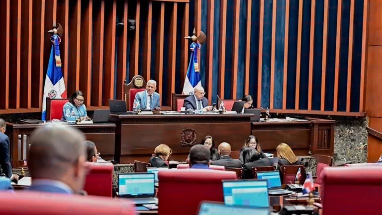 Senado sanciona de urgencia proyecto que prohíbe la importación y fabricación de foam