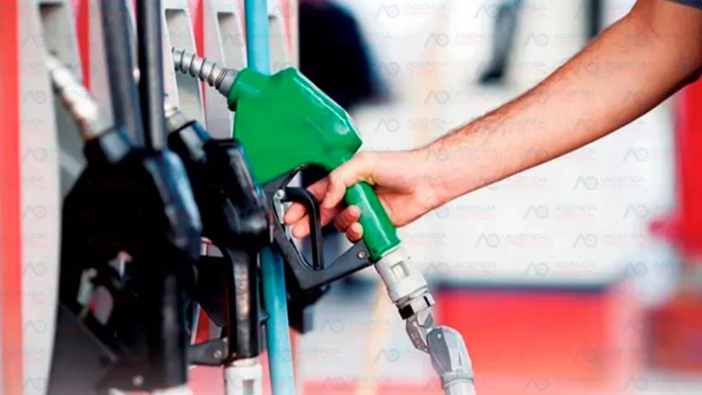 Gobierno mantiene congelados los principales combustibles, otros bajan