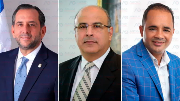 Abinader designa nuevos representantes honoríficos del Consejo Nacional de Cultura