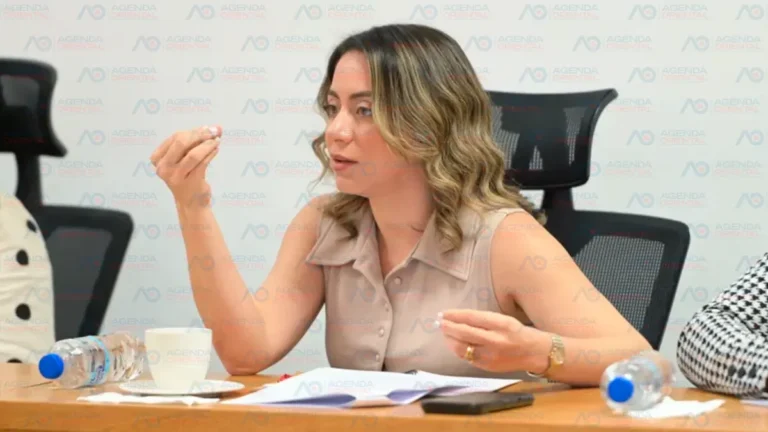 Ministerio de la Mujer destaca el diálogo con organizaciones feministas para fortalecer la protección de los derechos de las mujeres