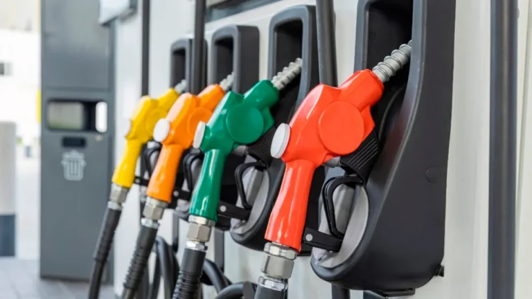 Gobierno congela los combustibles esta semana