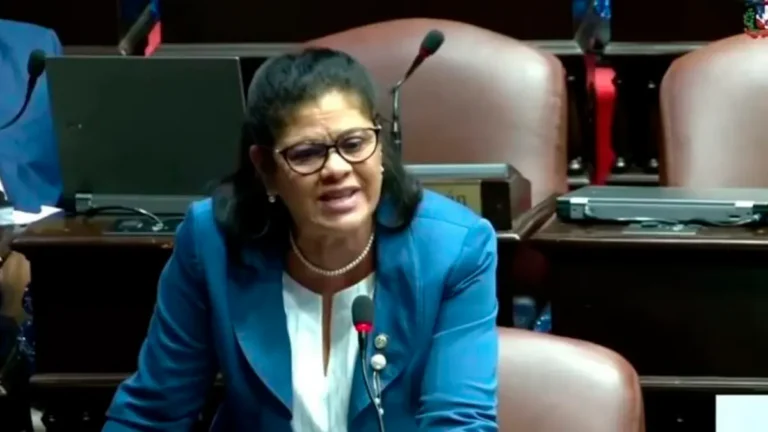 Diputada Yuderka De La Rosa De la FP solicita interpelación urgente al Ministro de Educación ante crisis de cupos y aulas en el país