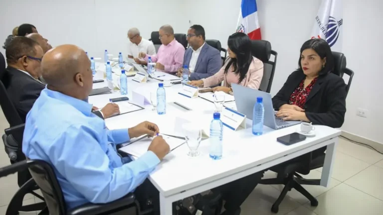 Comité Ejecutivo de Conadis aprueba proceso de transformación y renovación institucional